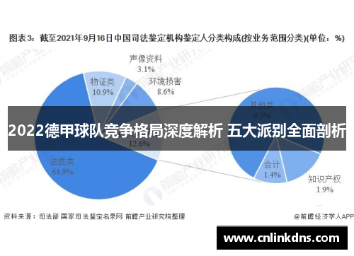 2022德甲球队竞争格局深度解析 五大派别全面剖析